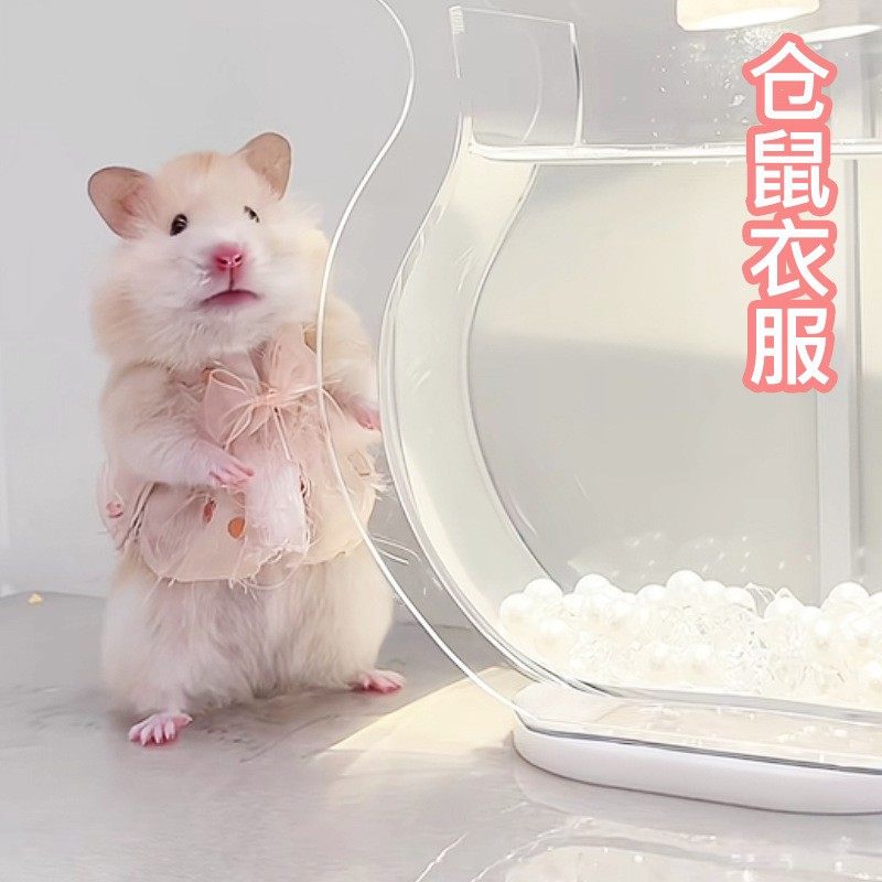 仓鼠可爱衣服服装裙子趣味造型小宠物毛线衣金丝熊花枝鼠服饰用品,淘宝优惠券,粉丝福利购,淘宝优惠卷