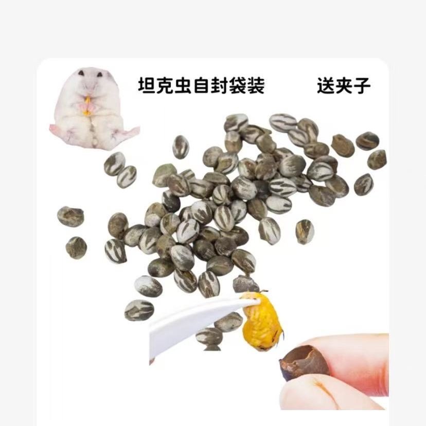 冻干蚕蛹仓鼠零食昆虫蛋白守宫食物磨牙棒花枝鼠蜜袋鼯金丝熊虫子,淘宝优惠券,粉丝福利购,淘宝优惠卷