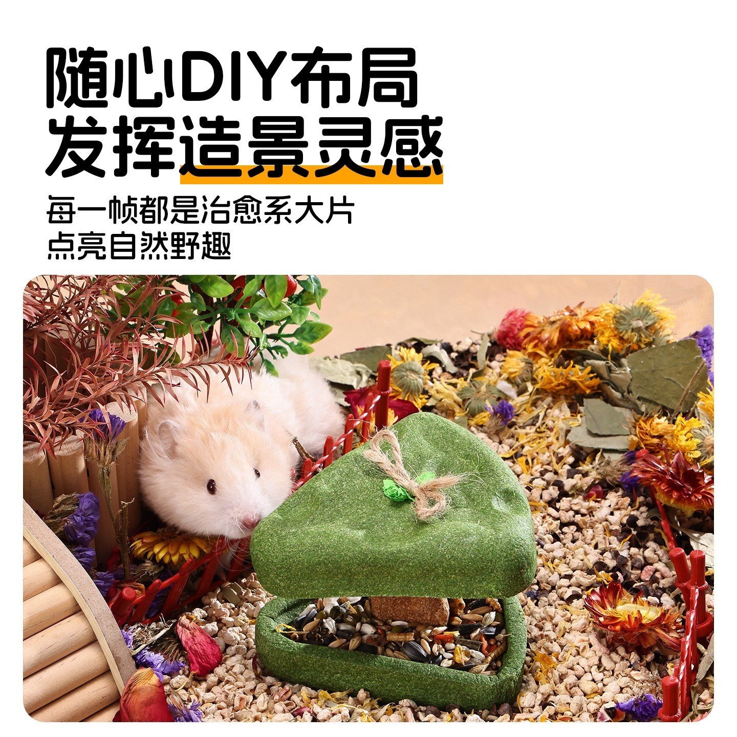 悦小萌仓鼠零食奶酪磨牙棒营养可直接吃花枝金丝熊造景玩具用品,淘宝优惠券,粉丝福利购,淘宝优惠卷