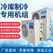 Cold storage Refrigerators Group 3 4 5 6 7 8 10 12P Emerson full range of cold storage equipment