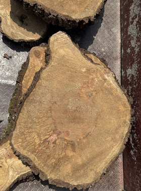 超大原木片圆木片超级大年轮片