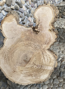 diy原生态风年轮带洞装潢材料