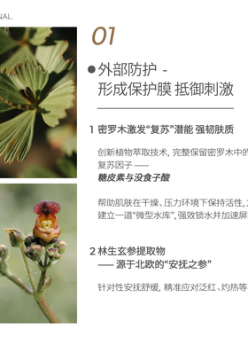 舒缓涂抹面膜保湿复活草睡眠面膜