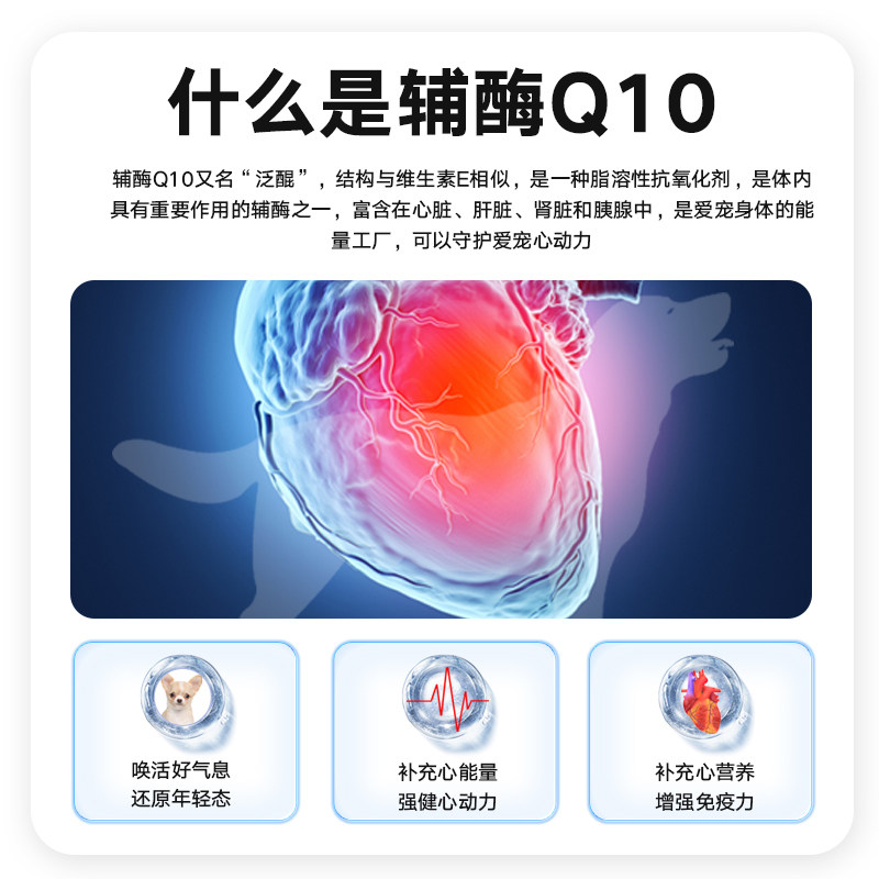 宠物辅酶Q10狗狗猫咪保护心脏心肌肥大泰迪比熊老年犬保健营养品,淘宝优惠券,粉丝福利购,淘宝优惠卷