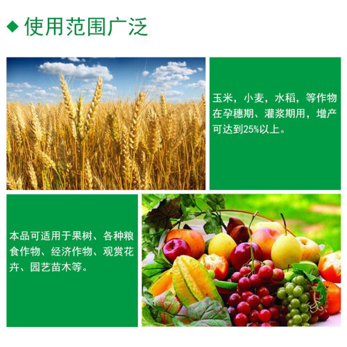 牛奶酵素肥保花保果膨大果实靓果上色着色增甜蔬菜果树通用叶面肥 - 图2