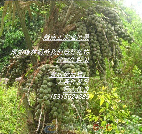 Zhuifeng Guosihu fresh fruit soaked wine