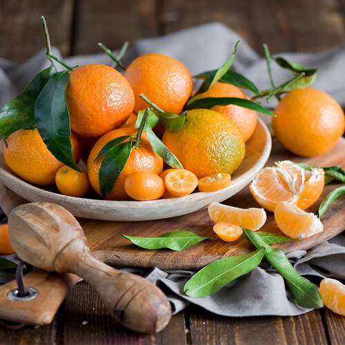 天狼 柑桔类果树庭院花园易养护可食用盆栽种植果树苗 - 图1