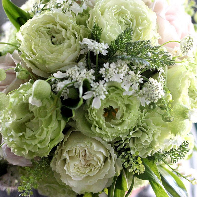 天狼月季 女士时装 多季开花绿色系大花杂交茶香月季玫瑰花店切花,淘宝优惠券,粉丝福利购,淘宝优惠卷