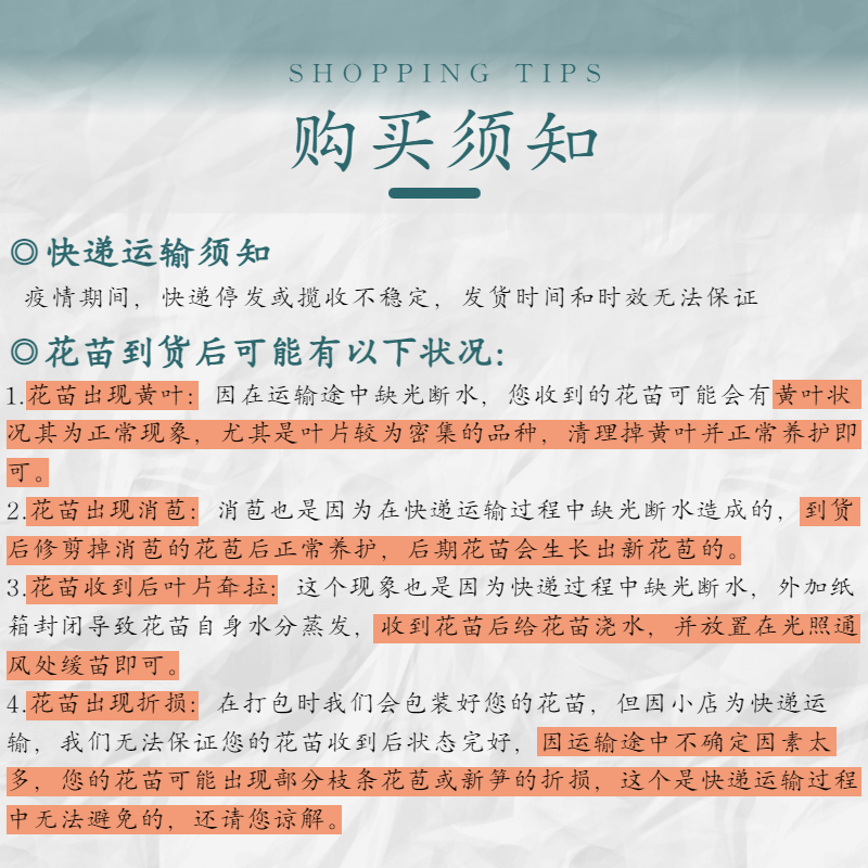 米可直播专拍一物一拍茶花盆栽木本花卉,淘宝优惠券,粉丝福利购,淘宝优惠卷
