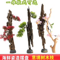 Natural branch sashimi with roots sculptures and creative pendulum pieces dragon dates branches greet visitors pine withered branches styled to bend dry branches