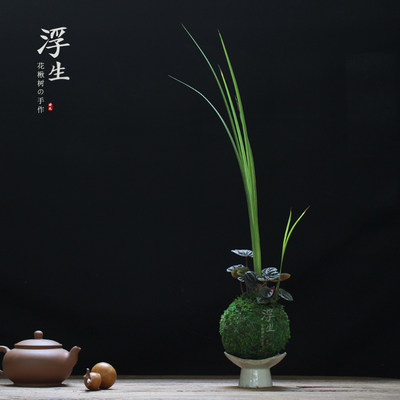 苔藓球植物盆景创意苔玉微景观绿植盆栽茶盘摆件样板房装饰 虎窝淘