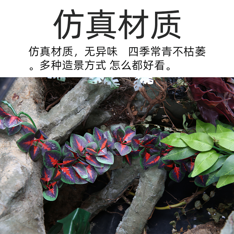 Reptizoo爬虫饲养箱鱼缸造景爬宠仿真植物蜥蜴龟蛇缸装饰藤蔓挂叶 - 图0