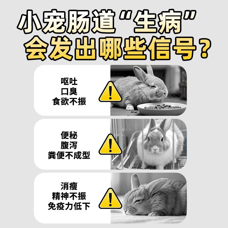 怪兽盒子宠物帮你壮兔子益生菌幼兔豚鼠专用营养补充剂保健营养膏,淘宝优惠券,粉丝福利购,淘宝优惠卷