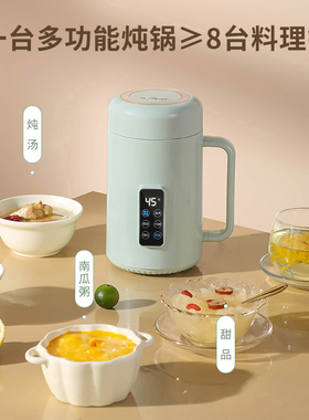 110V220V小型电炖锅美英规多功能养生壶煮粥锅便携式台湾用电炖杯