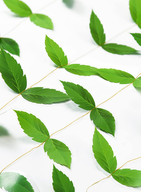幼儿园吊饰植物树叶拉旗春天挂饰