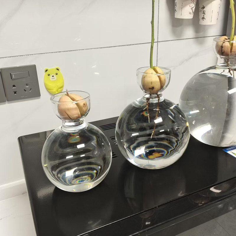 牛油果水培花瓶牛油果核种子种植养成专用花瓶容器器皿大号园艺,淘宝优惠券,粉丝福利购,淘宝优惠卷
