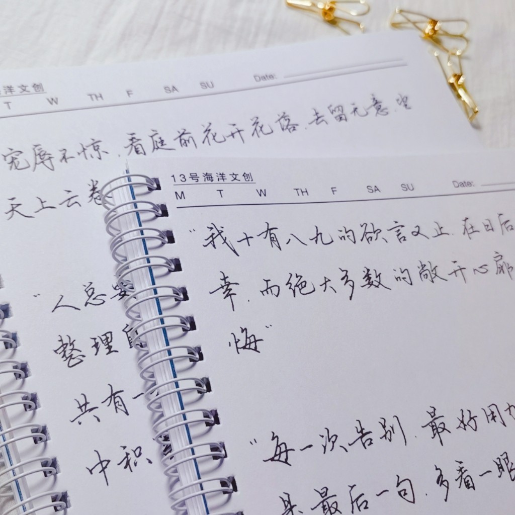 13号海洋文创 冉方手写字帖成人学生行书行楷钢笔硬笔临摹练字本