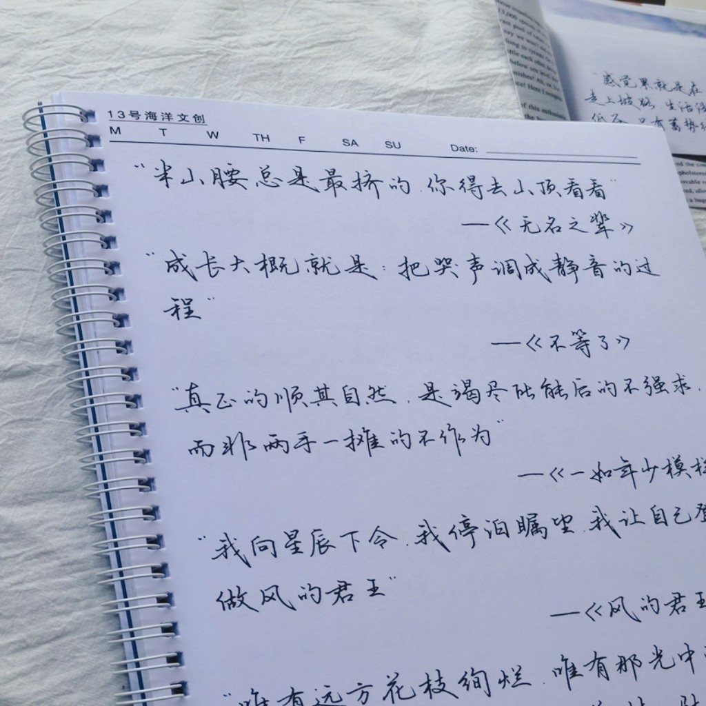 13号海洋文创 冉方手写字帖成人学生行书行楷钢笔硬笔临摹练字本