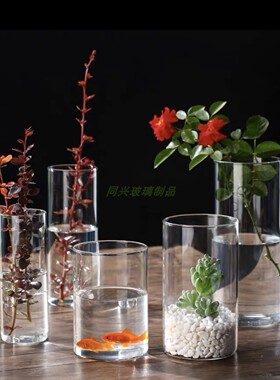 高硼硅玻璃水培插花花瓶生态瓶