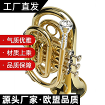 pure copper lacquered gold palm number instrument pocket small number pocket number down B tone 3-tone short number of beginner specialties