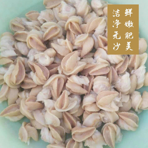 厂家直销速冻白玉蜗牛肉500克中西餐食材火锅烧烤牛排法式焗蜗牛 - 图1