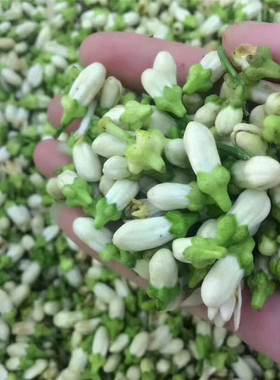 馨意头道1:1苦橙花饱和纯露鲜花水 不提精油爽肤水500ml提亮肤色