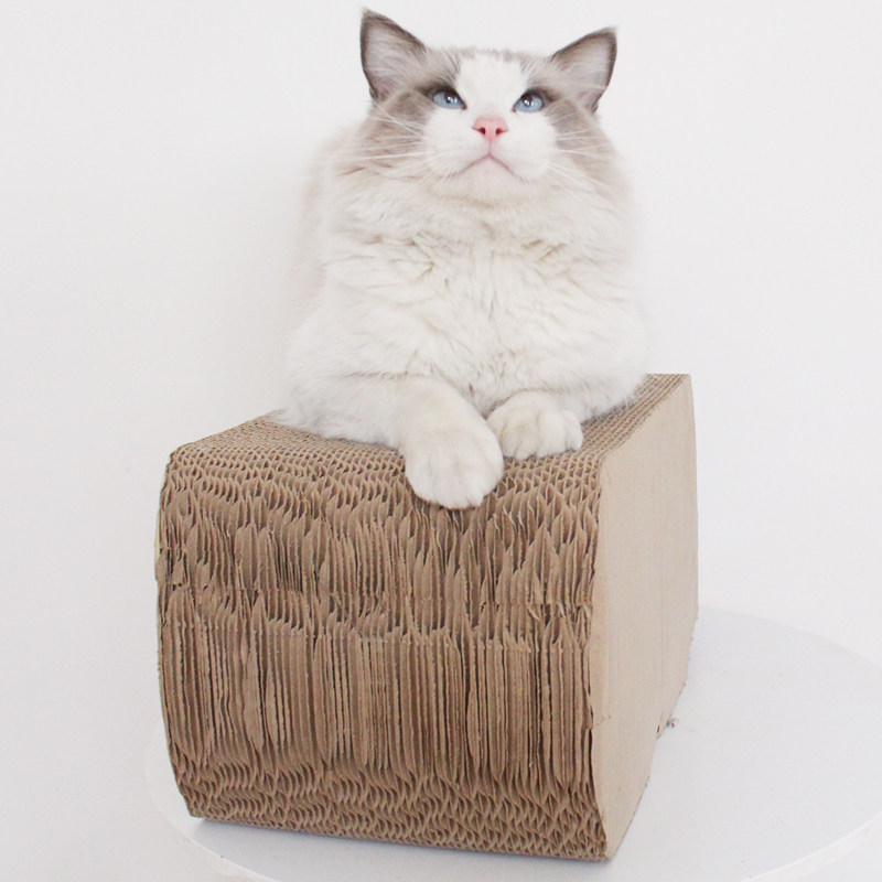 s shaped scratching post