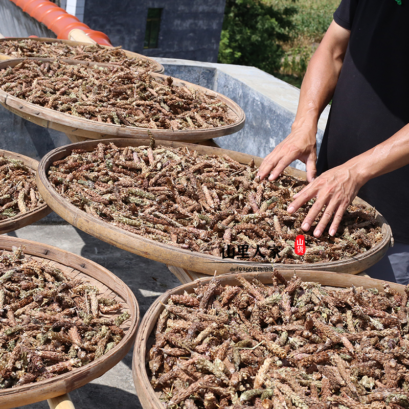 夏枯草深山无硫药材干货500g整棵带根农家自晒泡煮水广东凉茶正品