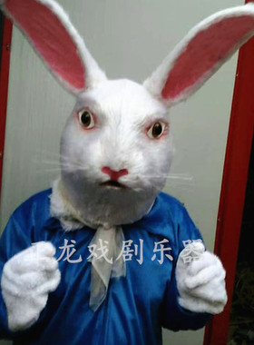 人穿卡通人偶兔子幽灵猫演出服装