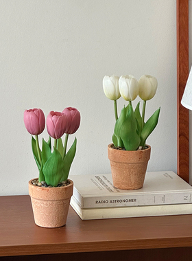 仿真盆栽郁金香仿真花假花摆设咖啡店装饰摆件ins拍照道具氛围感