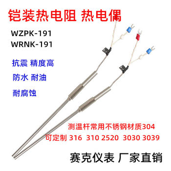ຄວາມຕ້ານທານຄວາມຮ້ອນຫຸ້ມເກາະ WZPK-191 193 probe platinum resistance pt100 ການວັດແທກອຸນຫະພູມ rod ບາງໆທີ່ສາມາດງໍໄດ້