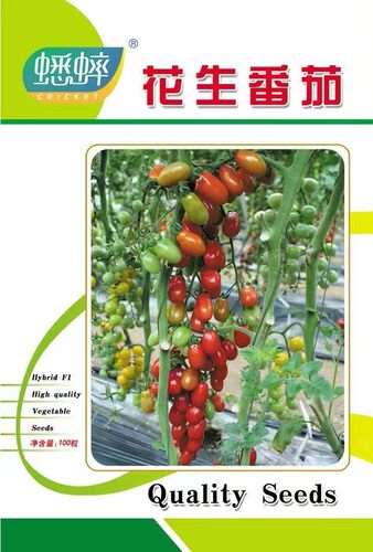 水果花生番茄种籽洋柿子种子台湾圣女果西红柿种籽盆栽四季春季 - 图1