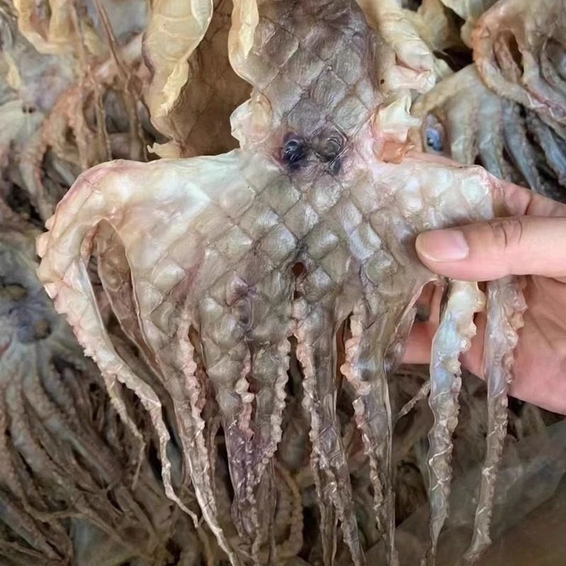 自晒淡干章鱼 八爪鱼煲汤下奶海鲜美食干货孕妇宝妈选择500克/包,淘宝优惠券,粉丝福利购,淘宝优惠卷