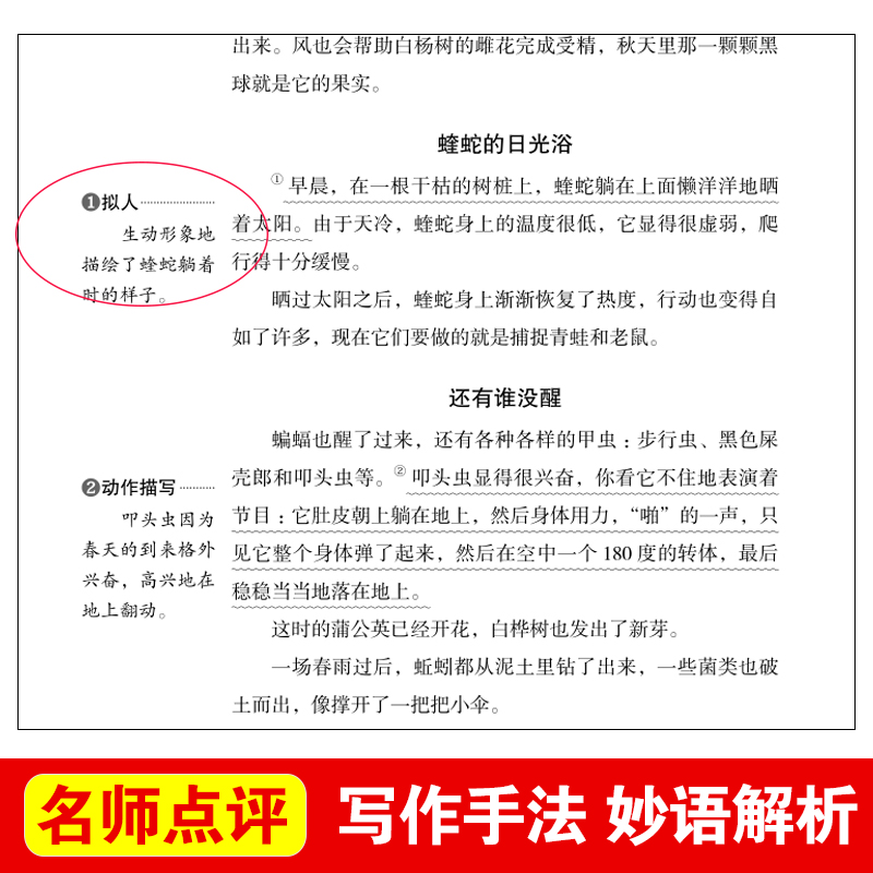 森林报爱阅读名著课程化丛书青少年小学生儿童二三四五六年级上下册必课外阅读物故事书籍快乐读书吧老师推荐正版爱阅读-图0