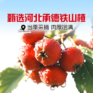 良品铺子山楂集1010g山楂片果丹皮卷山楂条果干儿童健康开胃零食