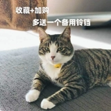 Японский колокольчик, чокер, бесшумный аксессуар, милое ожерелье, цепочка, домашний питомец, кот