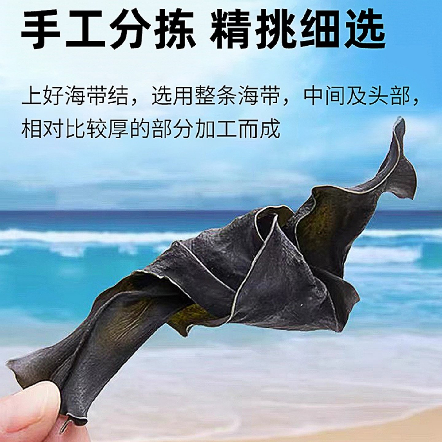 Kelp Knot Kelp Knot Kasumigaura Big Knot Small Knot