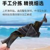 Kelp Knot Kelp Knot Kasumigaura Big Knot Small Knot