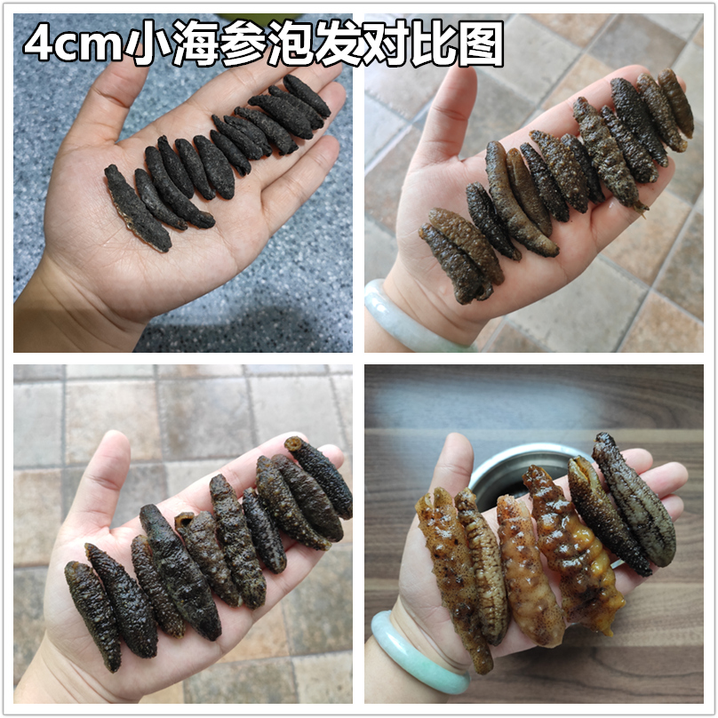 熹沐堂滋补礼品100g约60个野生淡干海参干货螺纹参大连辽参刺参土耳其米参滋补品0