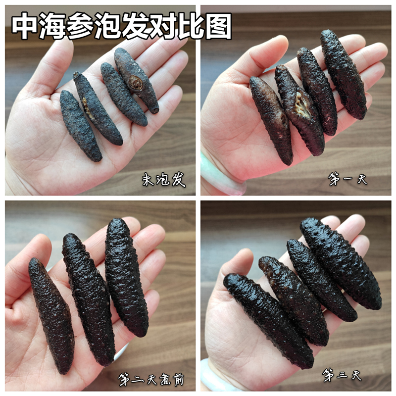 熹沐堂滋补礼品100g约60个野生淡干海参干货螺纹参大连辽参刺参土耳其米参滋补品2