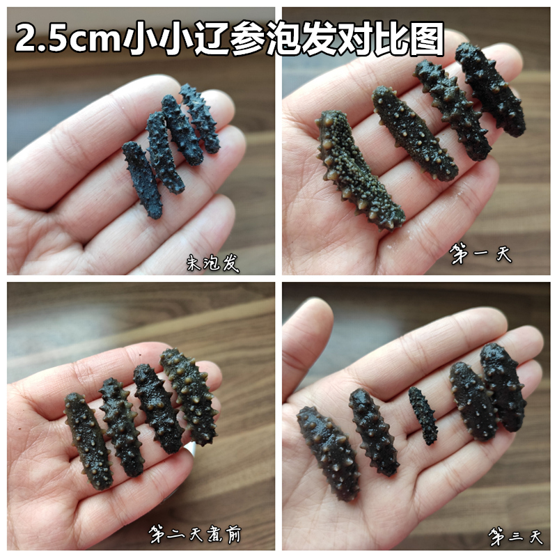 熹沐堂滋补礼品100g约60个野生淡干海参干货螺纹参大连辽参刺参土耳其米参滋补品1