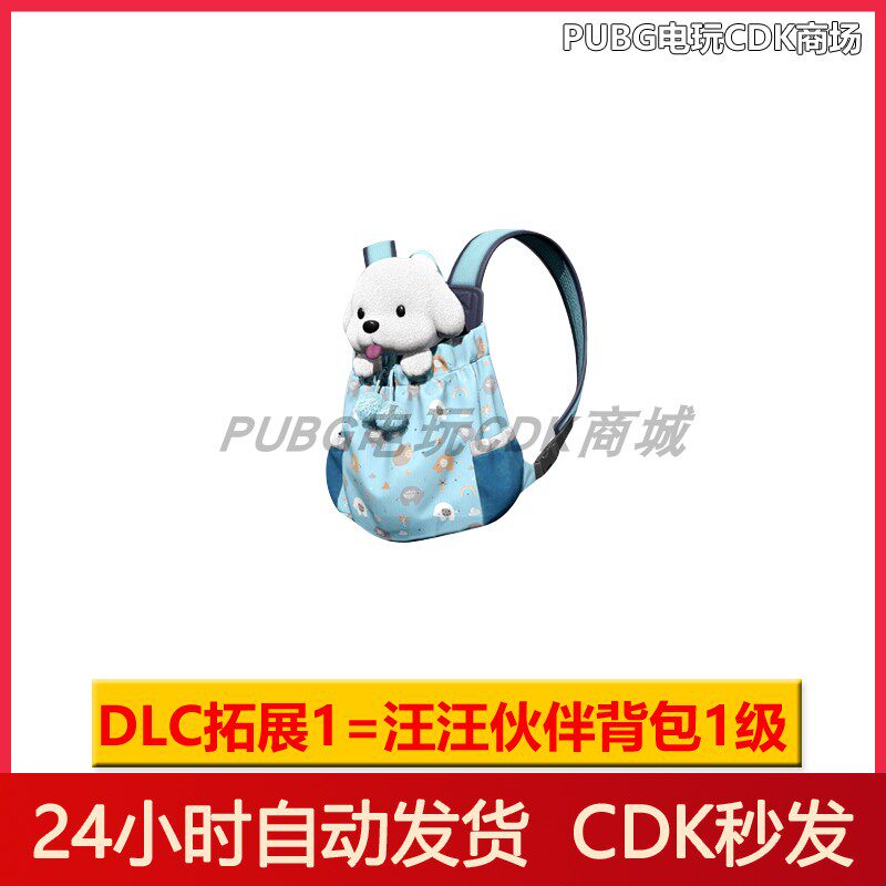 pubgPUBG绝地求生皮肤汪汪伙伴背包套装吃鸡1级2级3级背包兑换码CDK