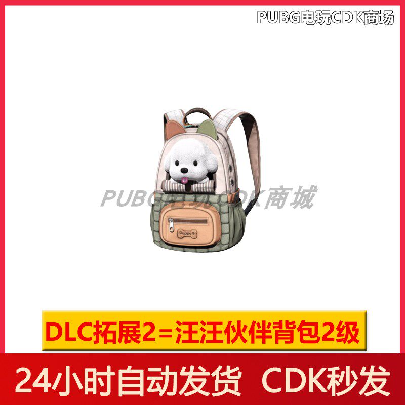 pubgPUBG绝地求生皮肤汪汪伙伴背包套装吃鸡1级2级3级背包兑换码CDK