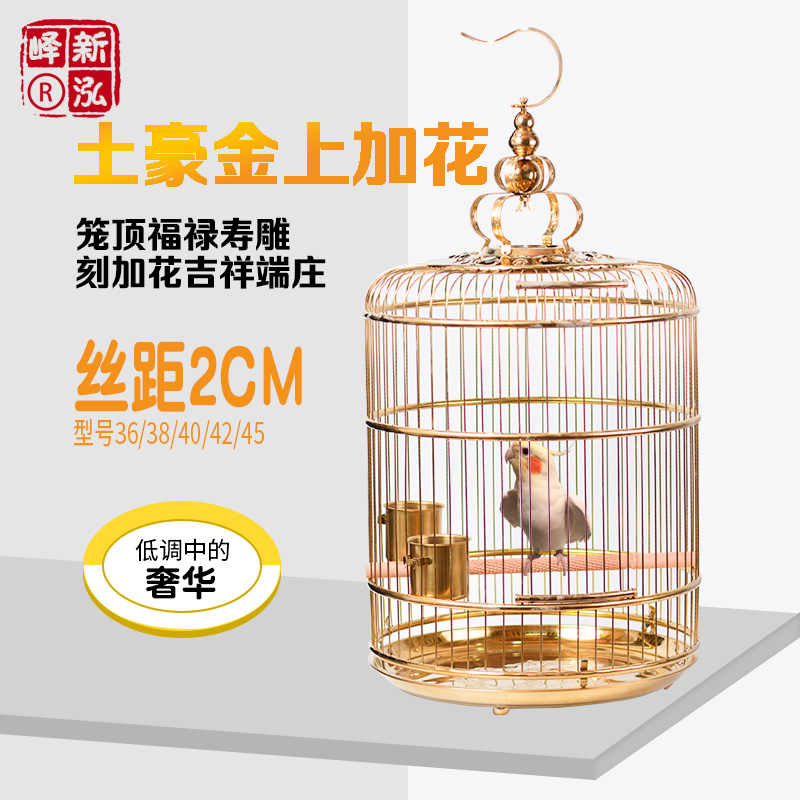 鹦鹉花八哥 新人首单立减十元 21年8月 淘宝海外