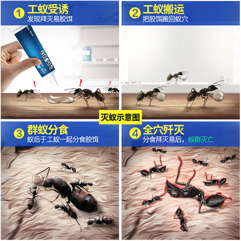 德国拜耳进口蚂蚁药灭蚁饵剂除杀红蚂蚁小黑蚁神器家用室内一窝端 虎窝淘