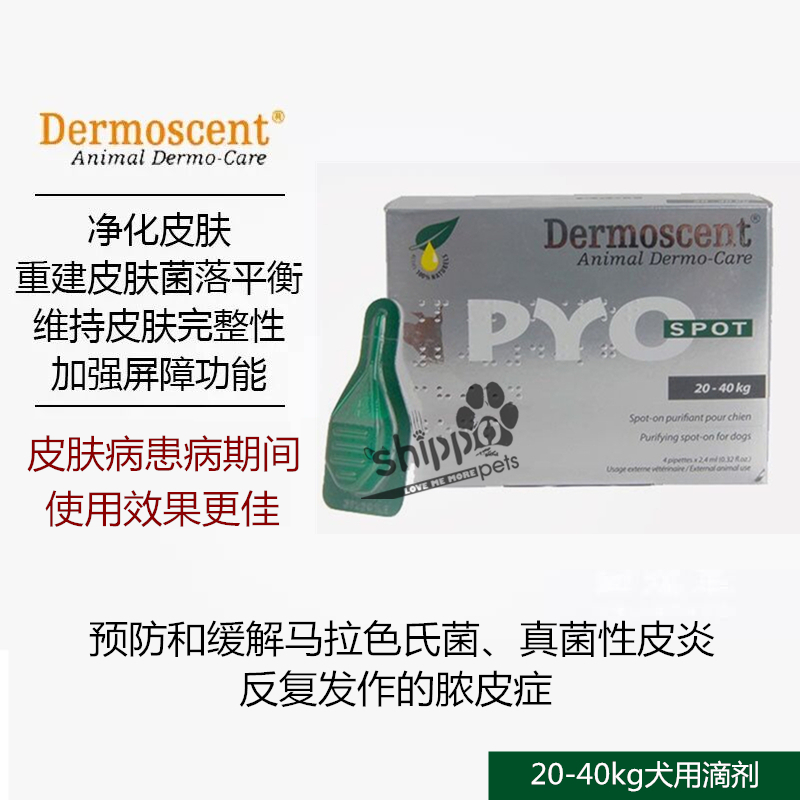 金毛七宝家 法国dermoscent PYO派奥点犬用脓皮症皮肤病舒缓滴剂 - 图2