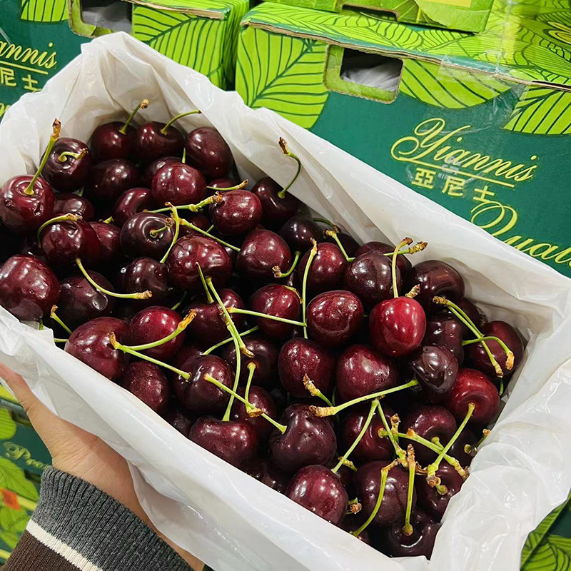 新西兰空运亚尼士车厘子4斤礼盒大樱桃新鲜孕妇水果年货礼品,淘宝优惠券,粉丝福利购,淘宝优惠卷