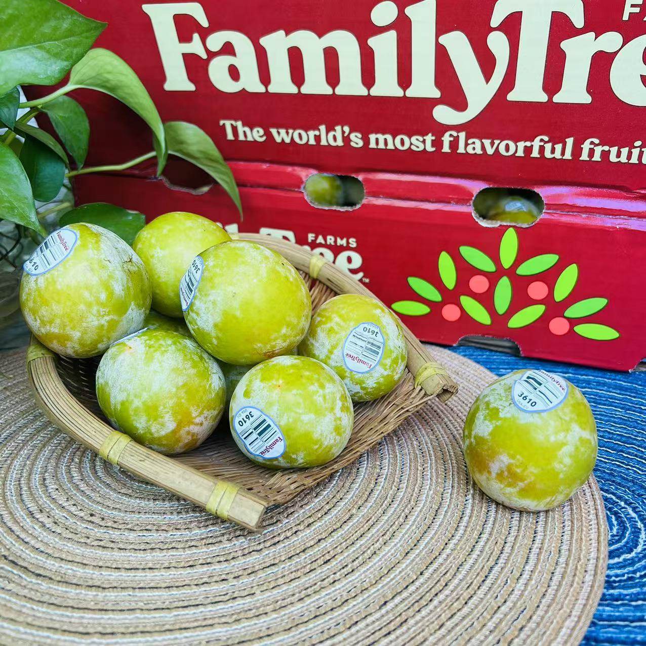 美国进口绿宝石李子新鲜恐龙蛋李子精选大果当季水果,淘宝优惠券,粉丝福利购,淘宝优惠卷