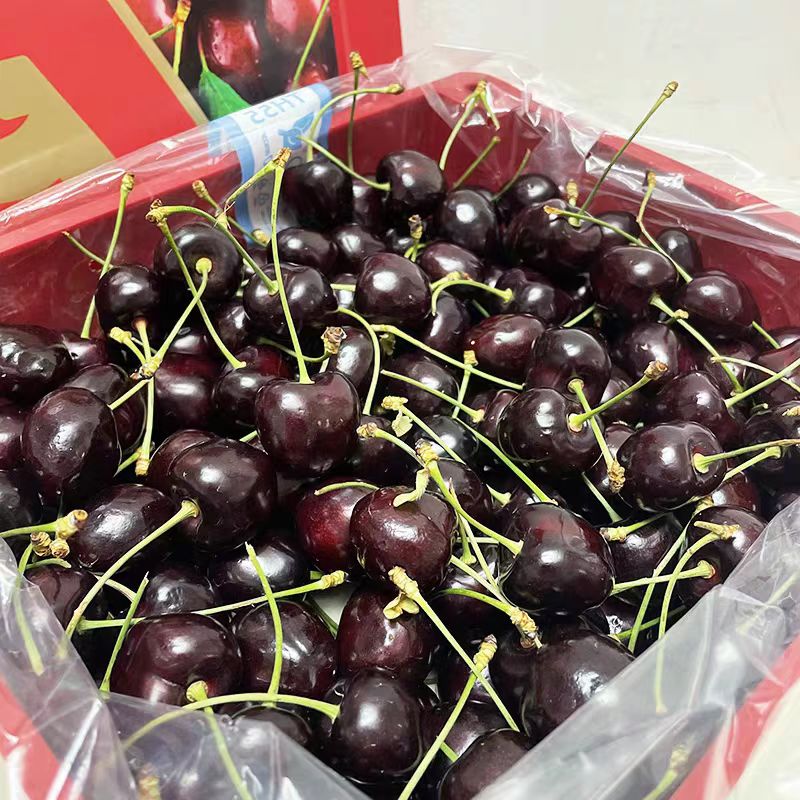 智利车厘子科迪亚进口大樱桃5斤原箱礼盒装新鲜水果大樱桃 - 图1