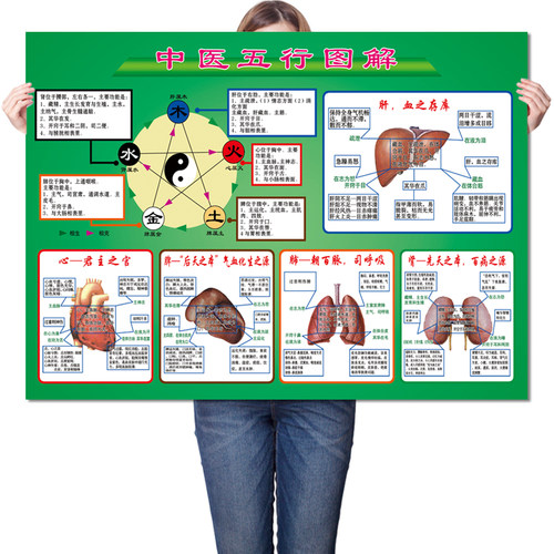 中医阴阳五行图解养生馆养生文化知识宣传图片海报挂图墙贴装饰画 - 图3